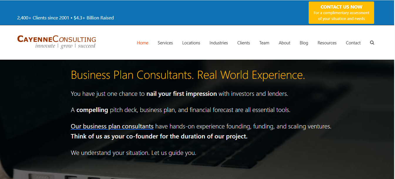 Cayenne Consulting website showing pitch deck strategy and financial modeling services for startups