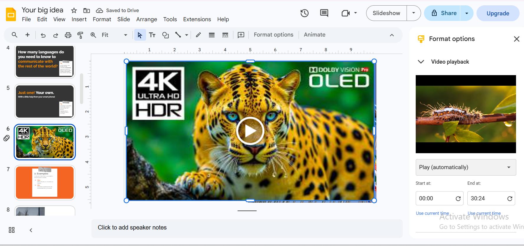 Video options panel - showing autoplay settings