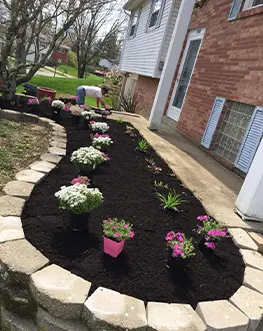 A beautifully arranged flower bed featuring an array of blooming flowers and healthy plants, enhancing the garden's charm.