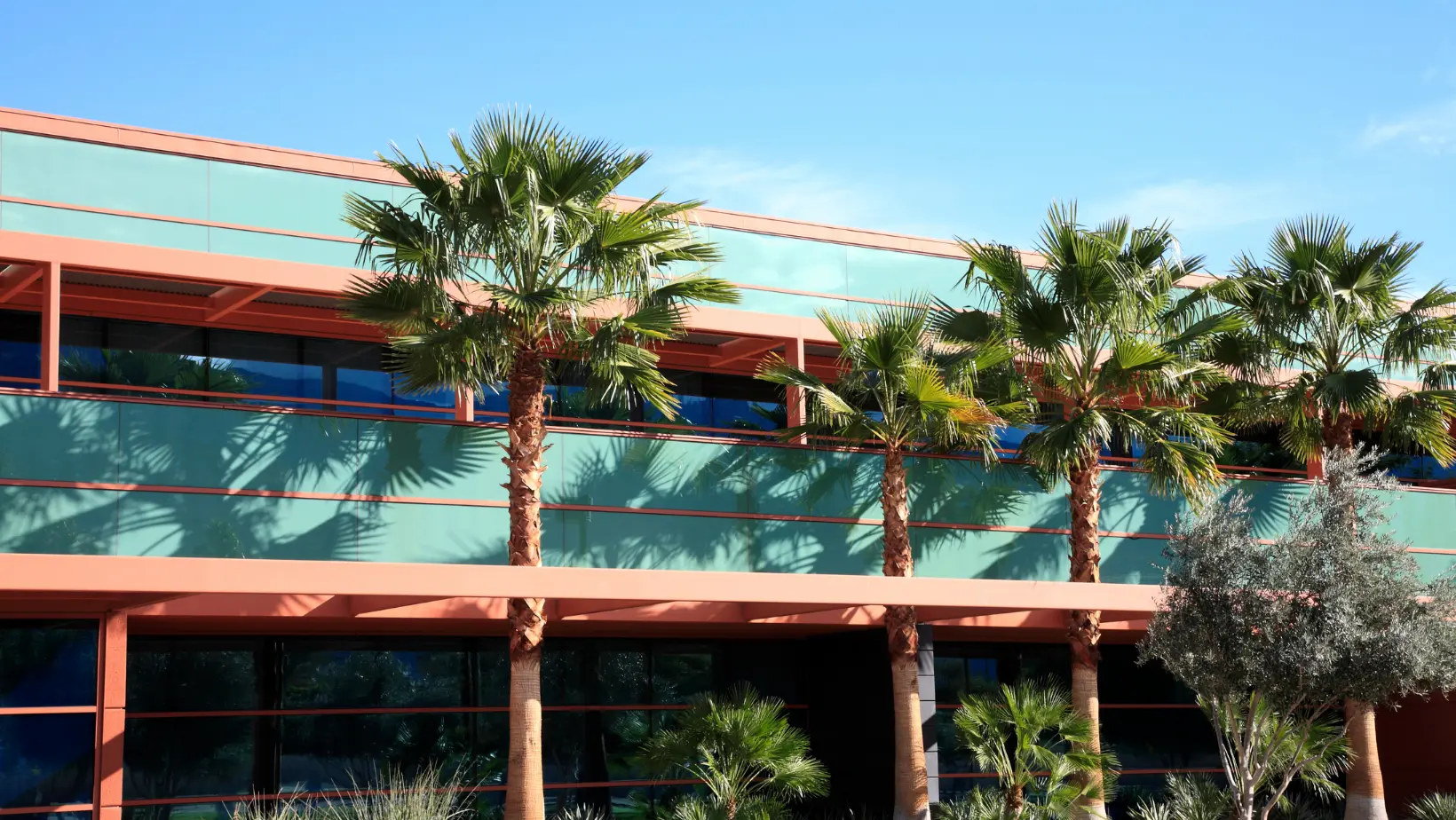 A building surrounded by palm trees under a clear blue sky, showcasing a tropical and serene atmosphere.