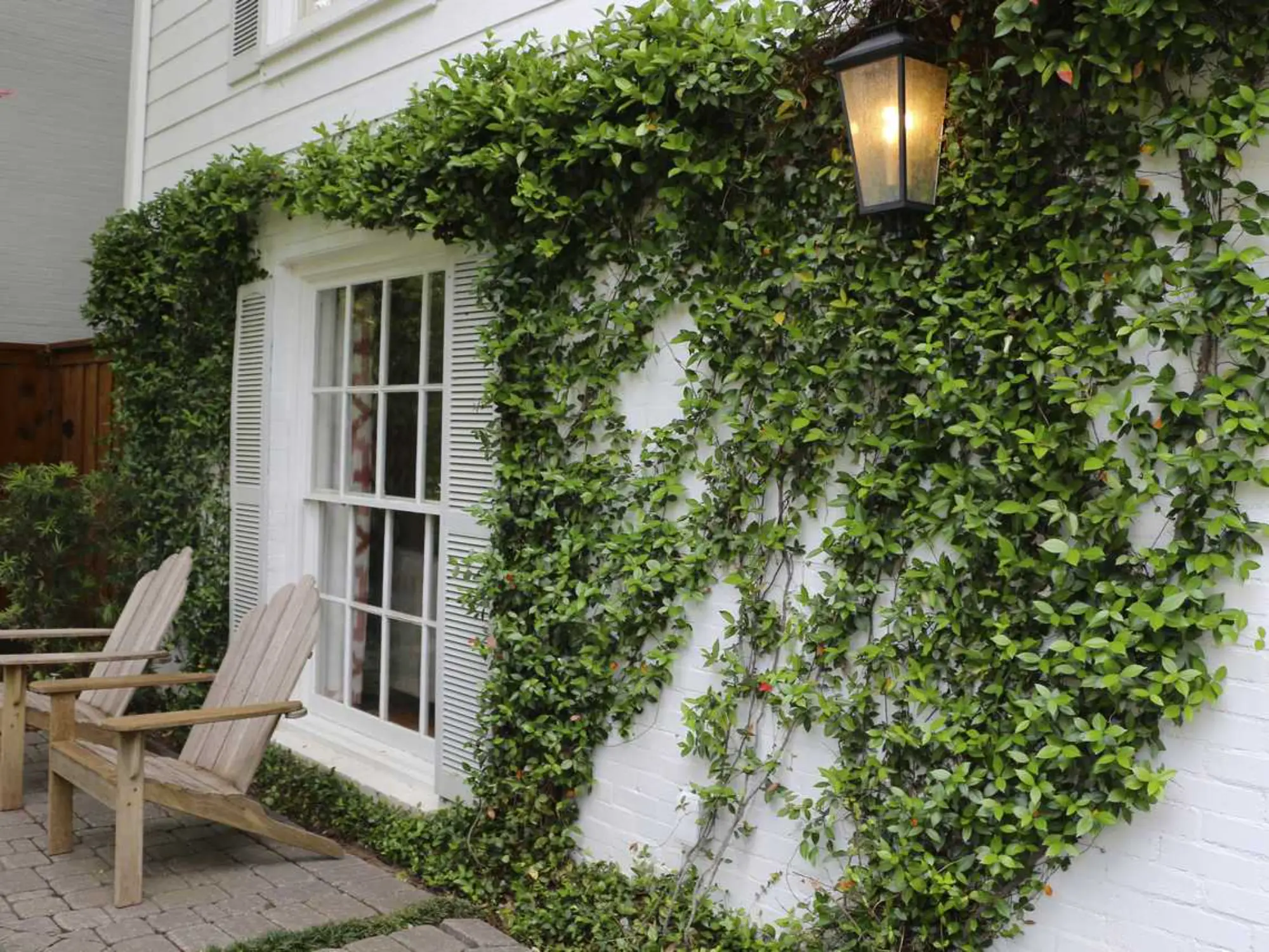 A white house adorned with a green ivy wall, featuring two inviting lawn chairs in front.