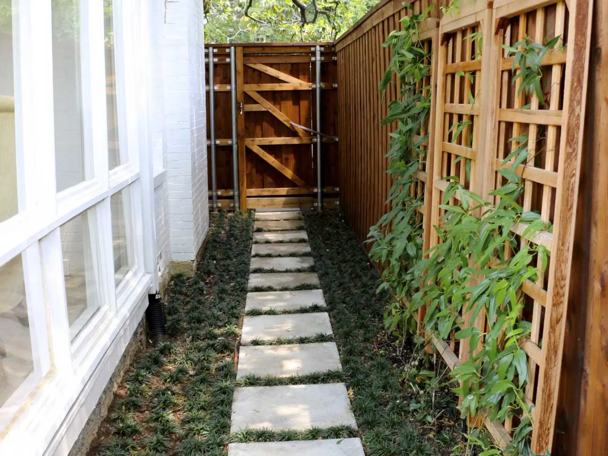A cozy backyard featuring a wooden fence and a charming stone path winding through the greenery.