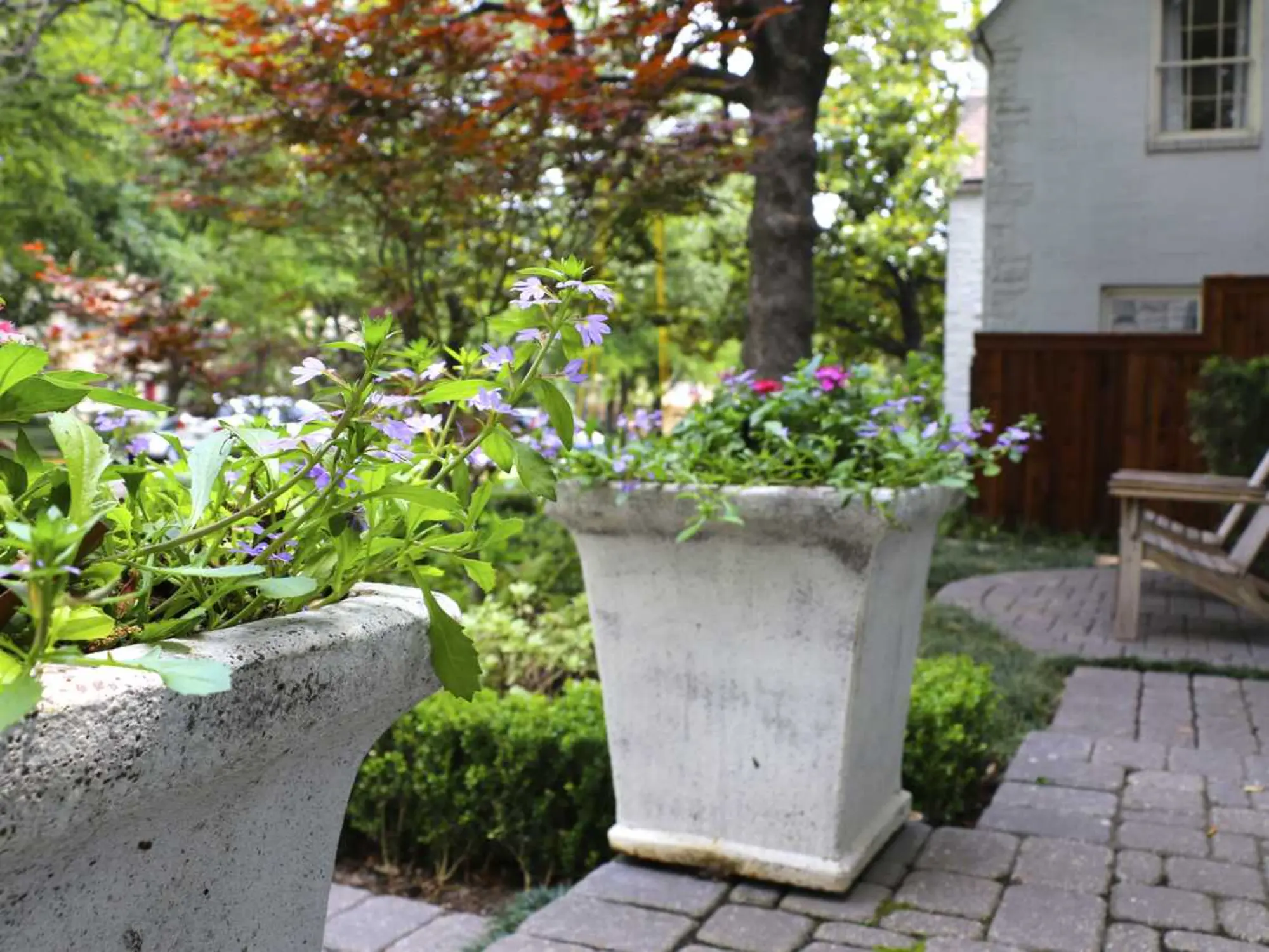Two concrete planters filled with vibrant flowers, adding color and life to the outdoor space.