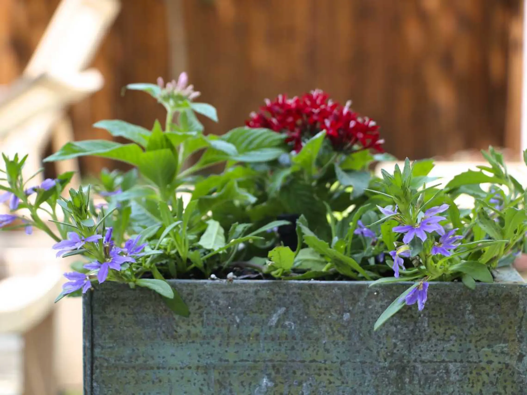 A small garden featuring a wooden bench beside a metal planter filled with vibrant flowers.