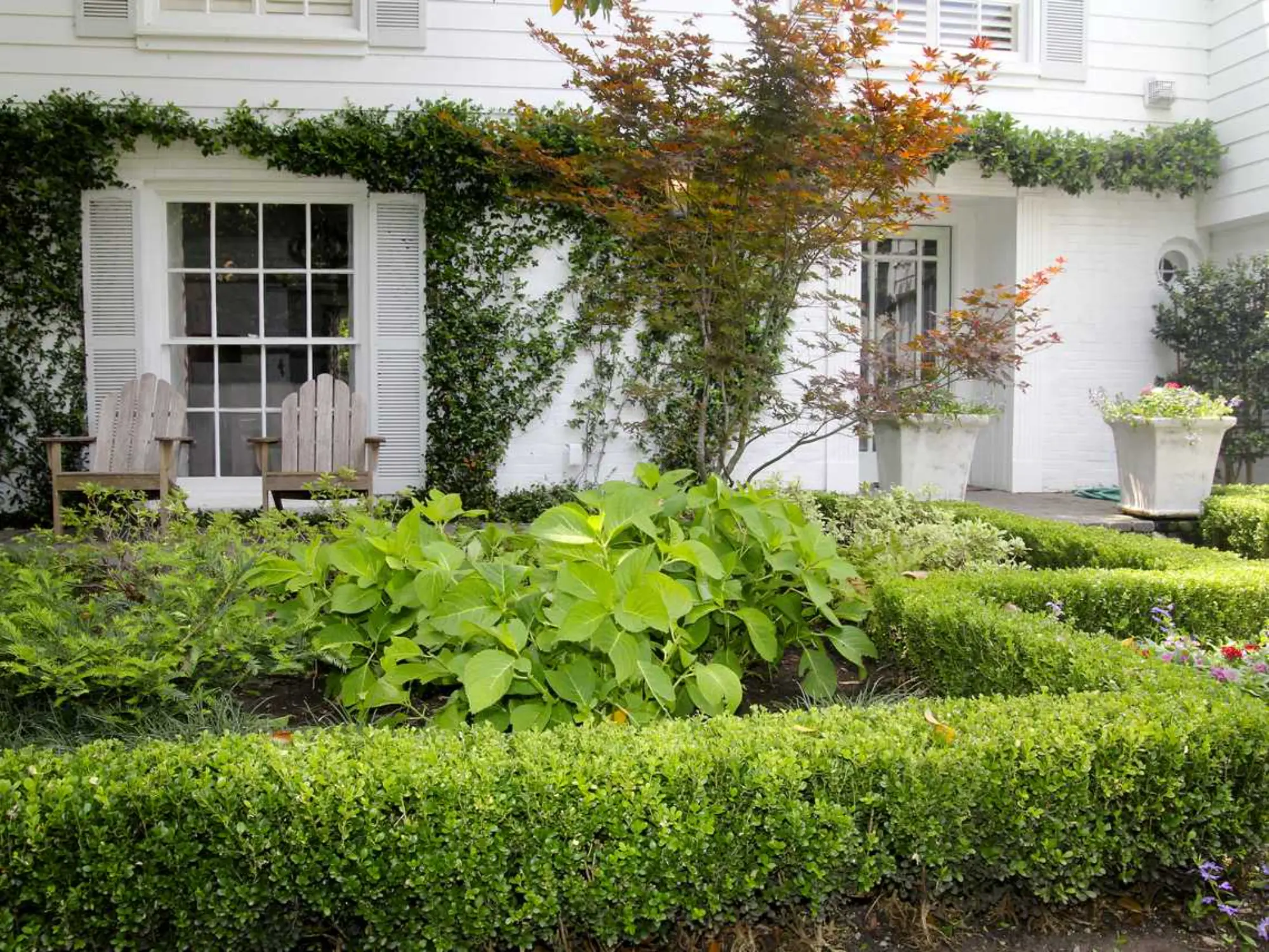 A lush garden featuring neatly trimmed hedges and vibrant shrubs in front of a charming house.
