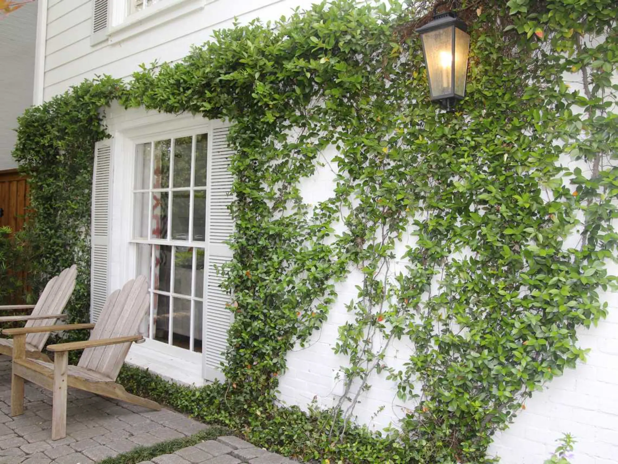 A white house with lush green ivy on the wall and two lawn chairs, creating a serene outdoor space.