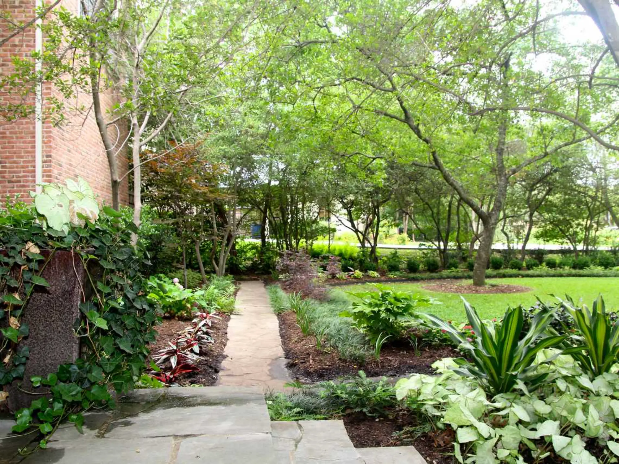 A vibrant garden filled with various plants and trees, showcasing lush greenery in the foreground.