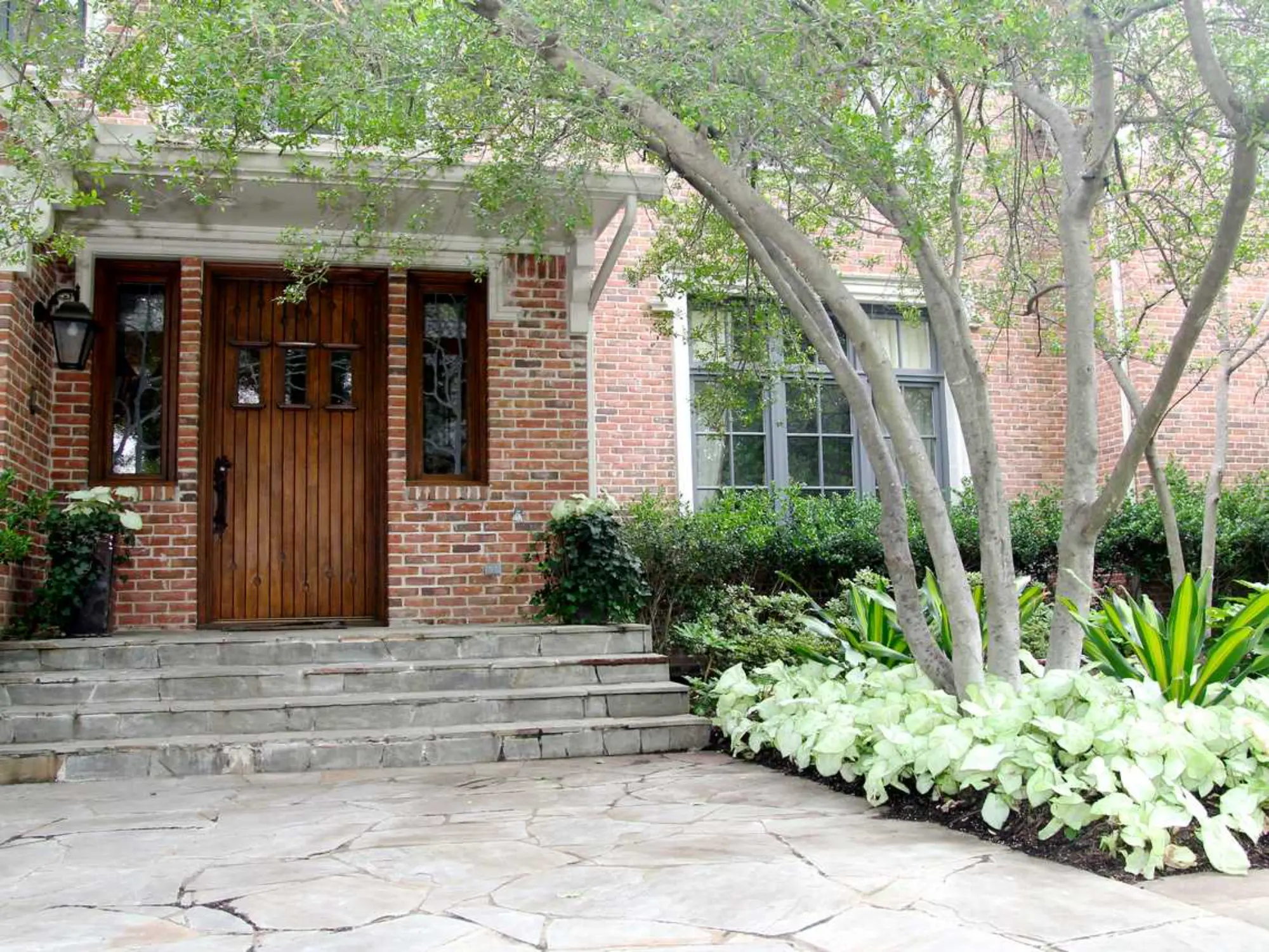 A vibrant pink flower blooming in a lush garden setting.