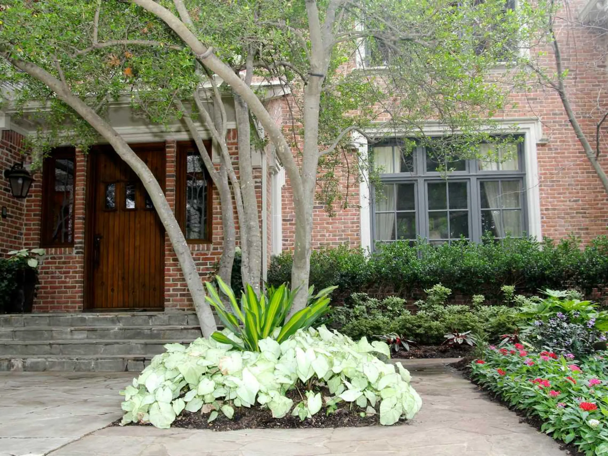A cozy brick house with a front door, complemented by a vibrant tree in the yard, enhancing the home's appeal.