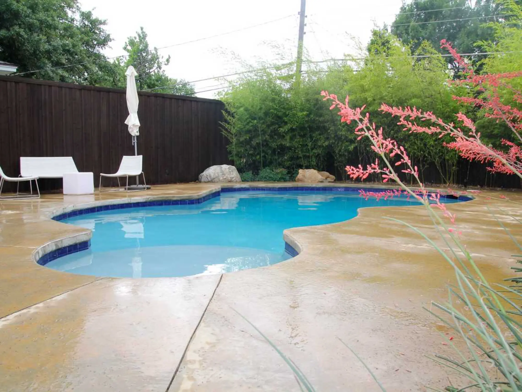 A tranquil pool set in a backyard, complemented by a sleek concrete patio for lounging and enjoying the outdoors.