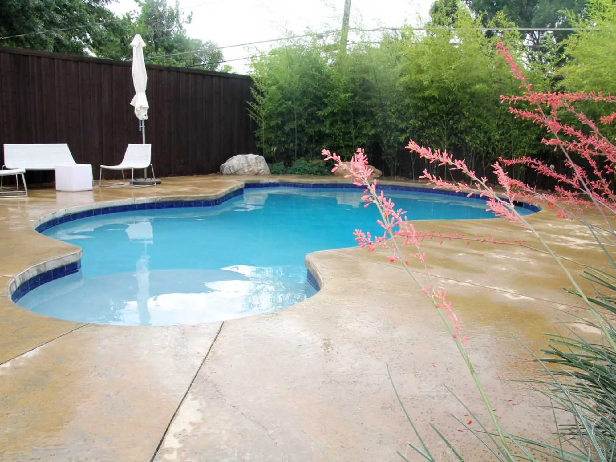 A backyard featuring a refreshing pool and a smooth concrete patio, ideal for sunbathing and entertaining guests.