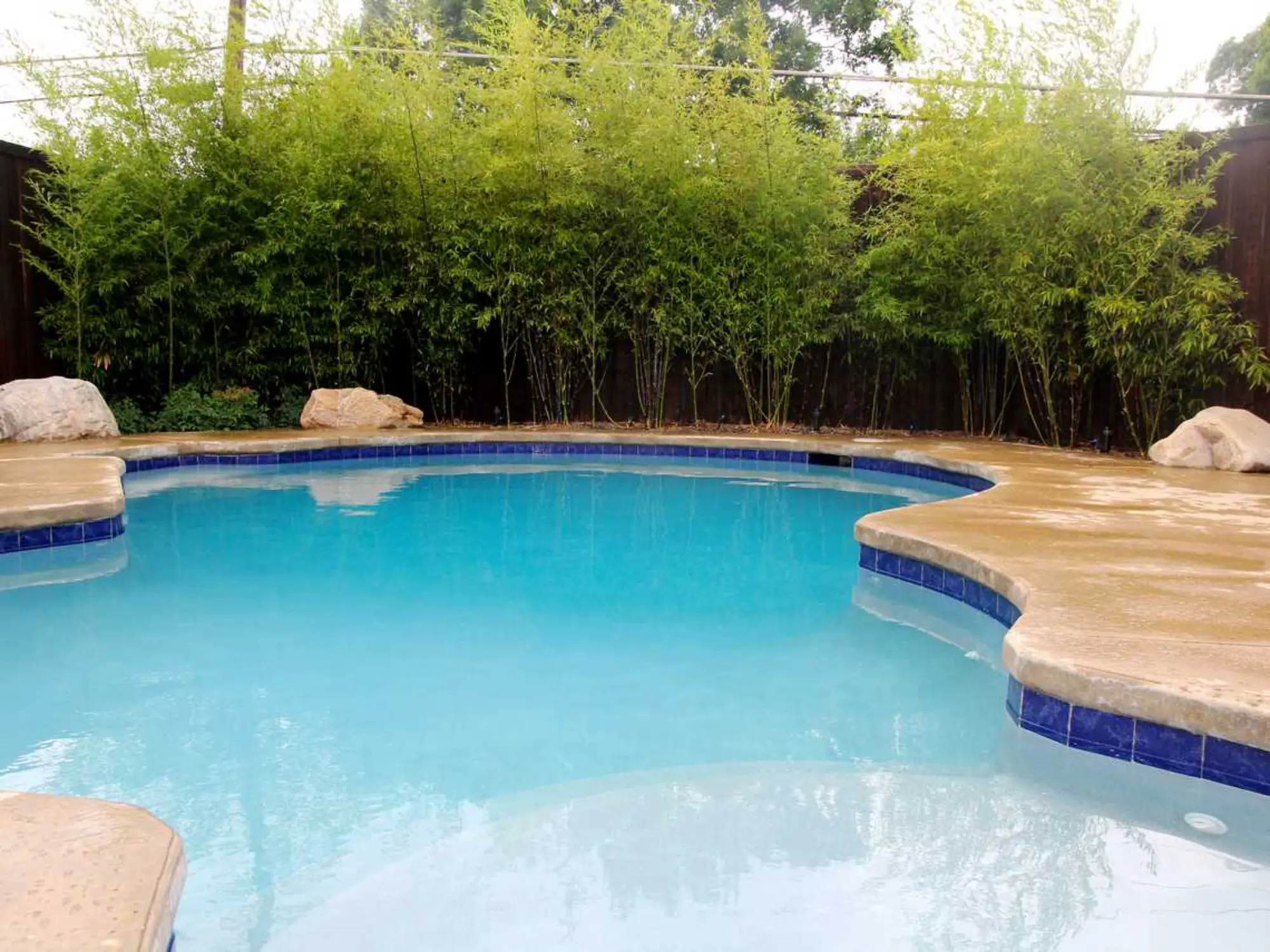 A serene backyard featuring a pool with a table and chairs, ideal for enjoying sunny days and socializing.