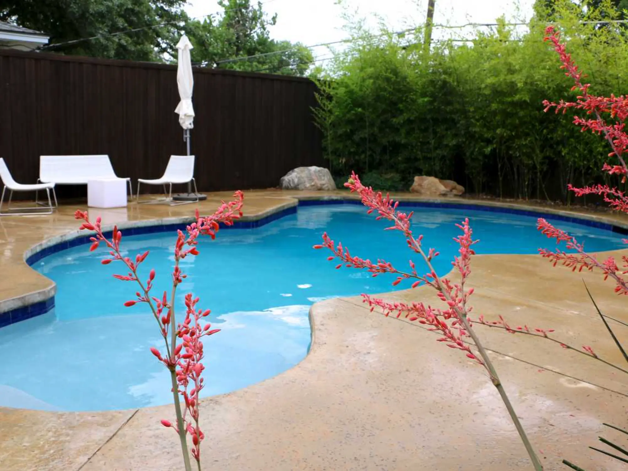 A serene backyard pool surrounded by a patio and a table, perfect for relaxation and outdoor gatherings.