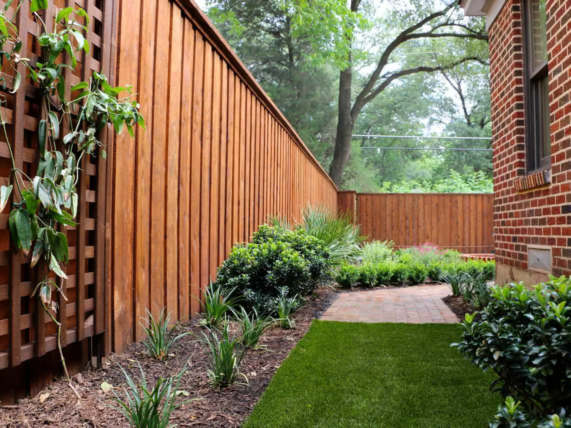 A peaceful backyard scene with a wooden fence and vibrant green grass.