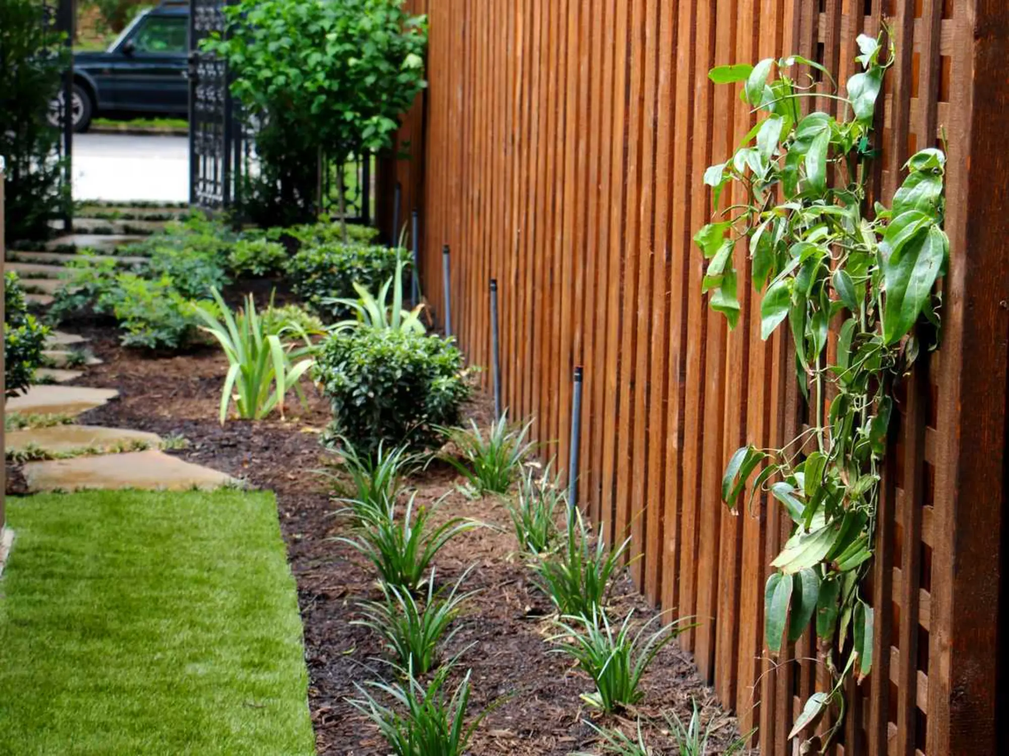 A serene backyard garden featuring a wooden fence surrounded by lush green grass.