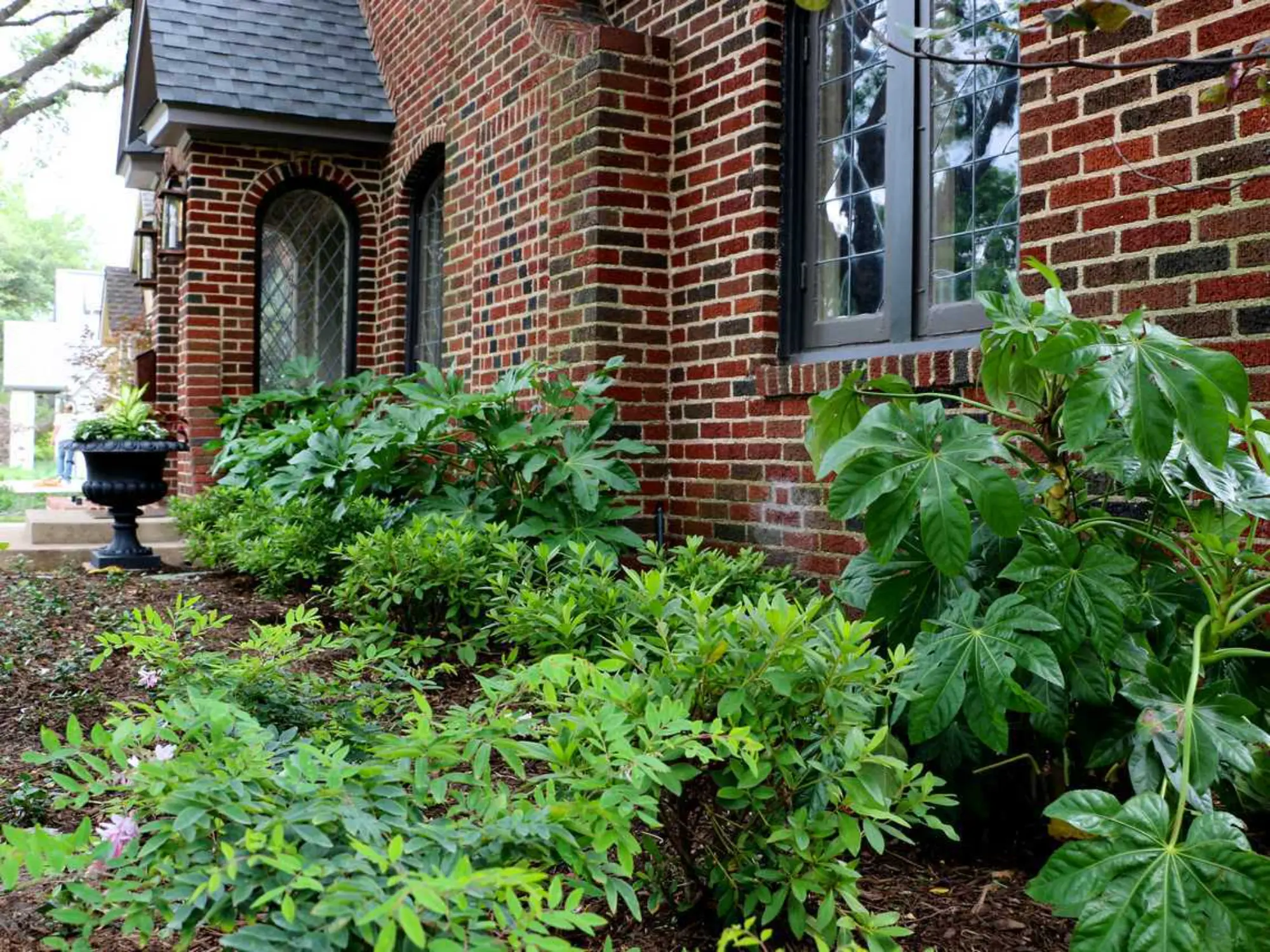 A brick house surrounded by vibrant plants and shrubs in the front yard, showcasing a welcoming outdoor space.