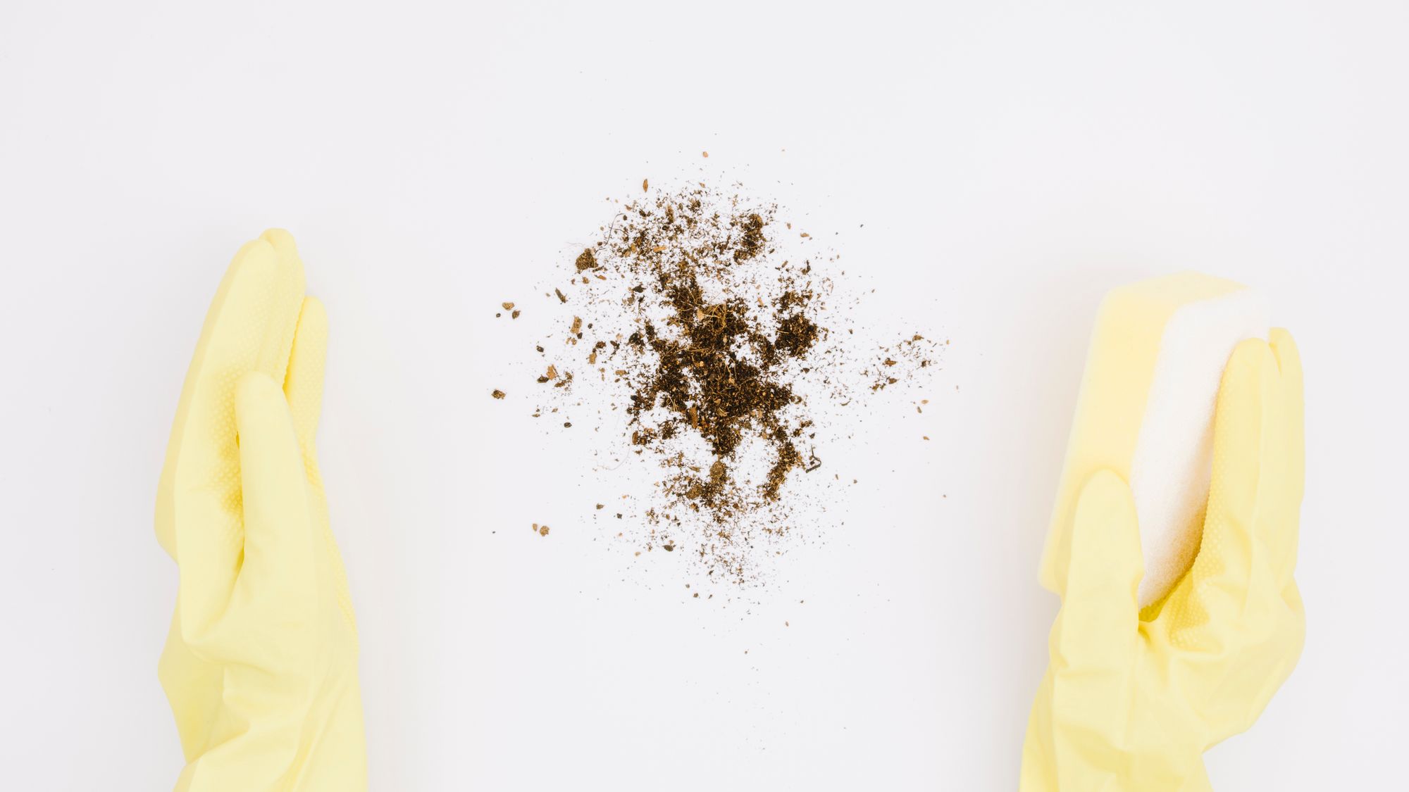Inty Lint Process Hidden Lint Dangers in Youngstown Dryer Vents