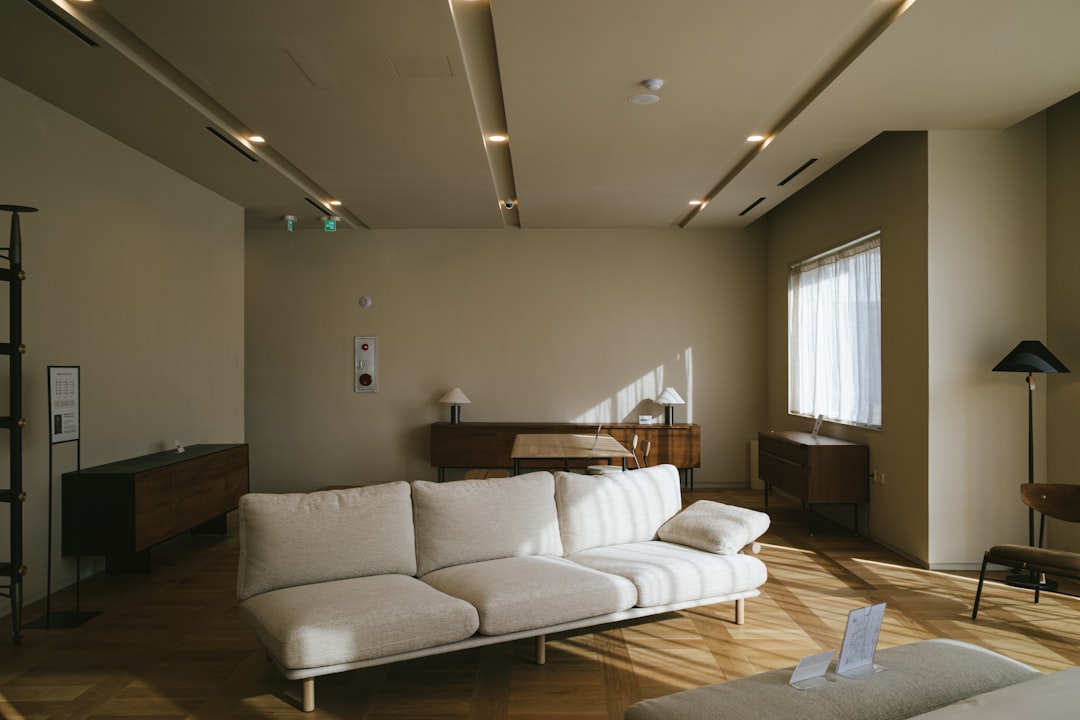 Beyond the Dust: A Guide to Truly Clean Home Air