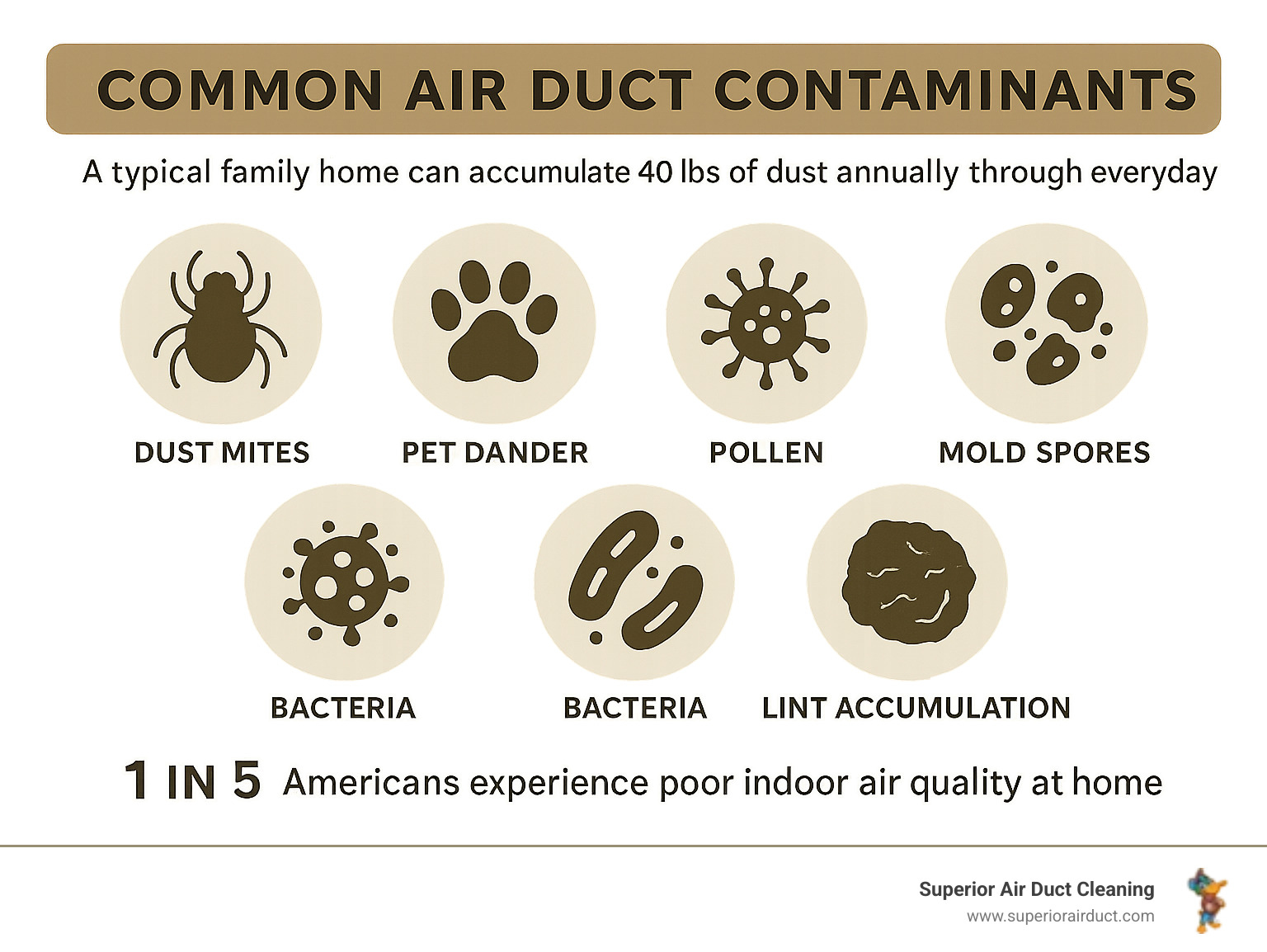 Infographic showing common air duct contaminants including dust mites, pet dander, pollen, mold spores, bacteria, and lint accumulation in residential HVAC systems, with statistics on indoor air quality degradation - duct cleaning Sewickley infographic 