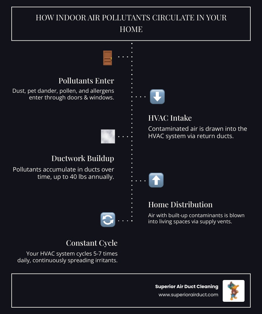 Infographic showing how dust, pet dander, pollen, cooking particles, and other allergens enter through doors and windows, get picked up by the HVAC system through return ducts, accumulate in ductwork over time, and then circulate throughout the home 5-7 times daily through supply vents into living spaces - ductwork cleaning pittsburgh infographic infographic-line-5-steps-dark