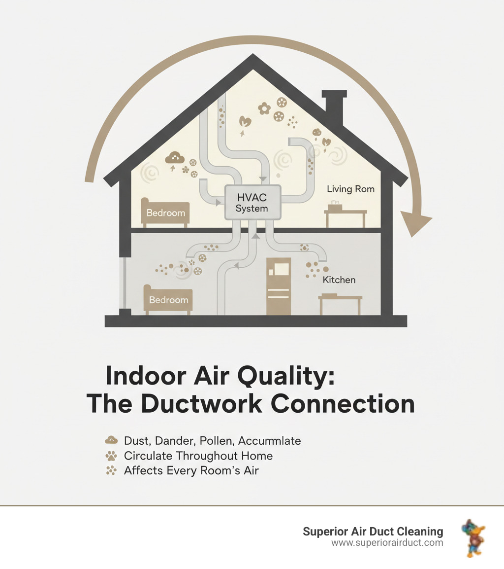 infographic showing how dust, pet dander, pollen, mold spores, and other allergens accumulate in ductwork and circulate through a home's HVAC system, affecting indoor air quality in every room - Duct Cleaning Company in Youngstown infographic 