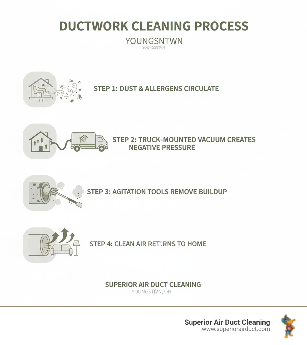 Detailed infographic showing the air duct cleaning process: Step 1 shows dust and allergens circulating through home ductwork; Step 2 shows a truck-mounted vacuum creating negative pressure; Step 3 shows agitation tools removing buildup from duct walls; Step 4 shows clean air flowing through sanitized ducts back into living spaces - Ductwork Cleaning in Youngstown infographic 