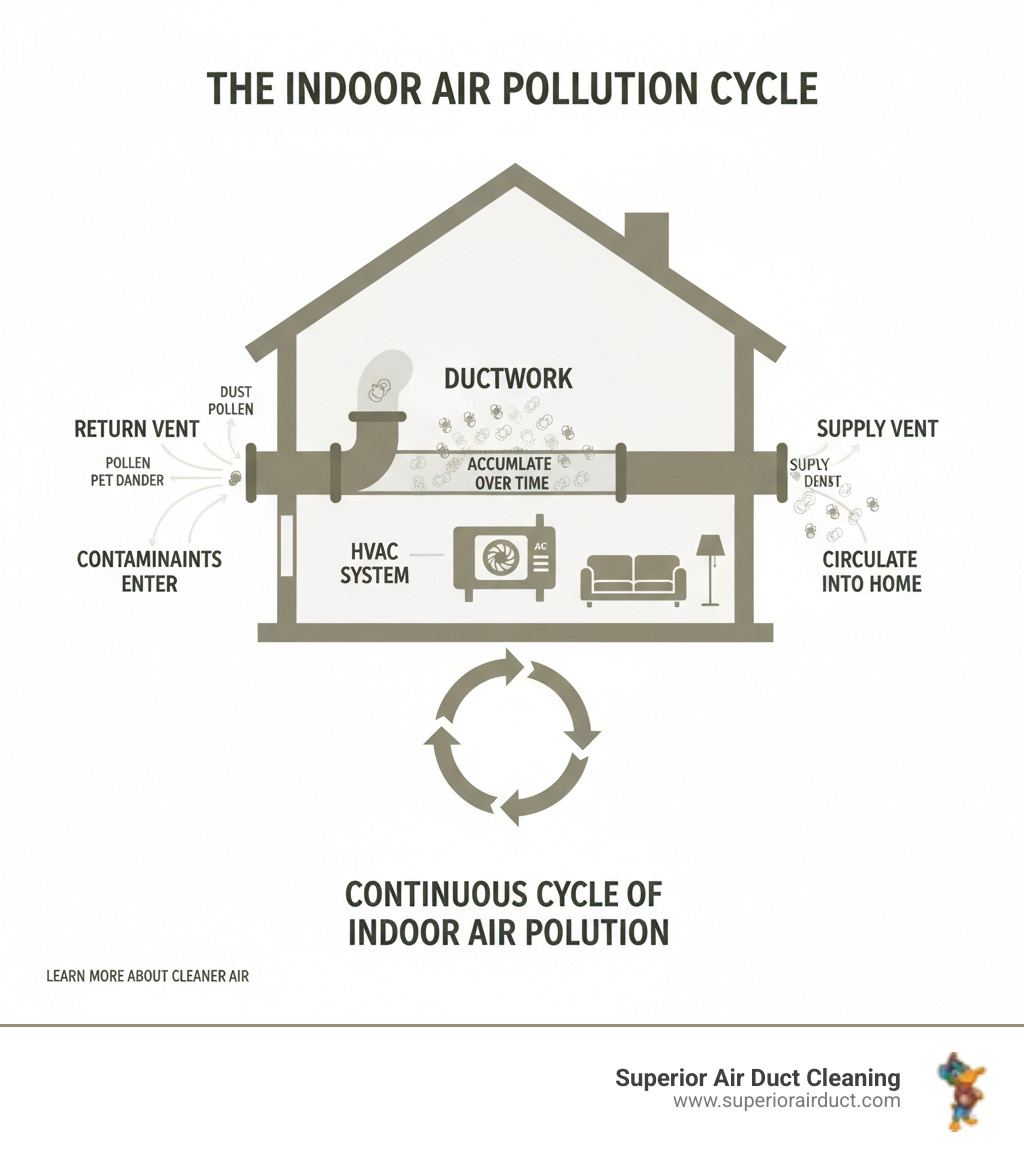 Infographic showing how dust, pollen, pet dander, and other contaminants enter a home's HVAC system through return vents, accumulate in ductwork over months and years, and then circulate back into living spaces through supply vents each time the heating or cooling system runs, creating a continuous cycle of indoor air pollution - Air Duct Cleaning Services in Youngstown infographic Infographic showing how dust, pollen, pet dander, and other contaminants enter a home's HVAC system through return vents, accumulate in ductwork over months and years, and then circulate back into living spaces through supply vents each time the heating or cooling system runs, creating a continuous cycle of indoor air pollution - Air Duct Cleaning Services in Youngstown infographic
