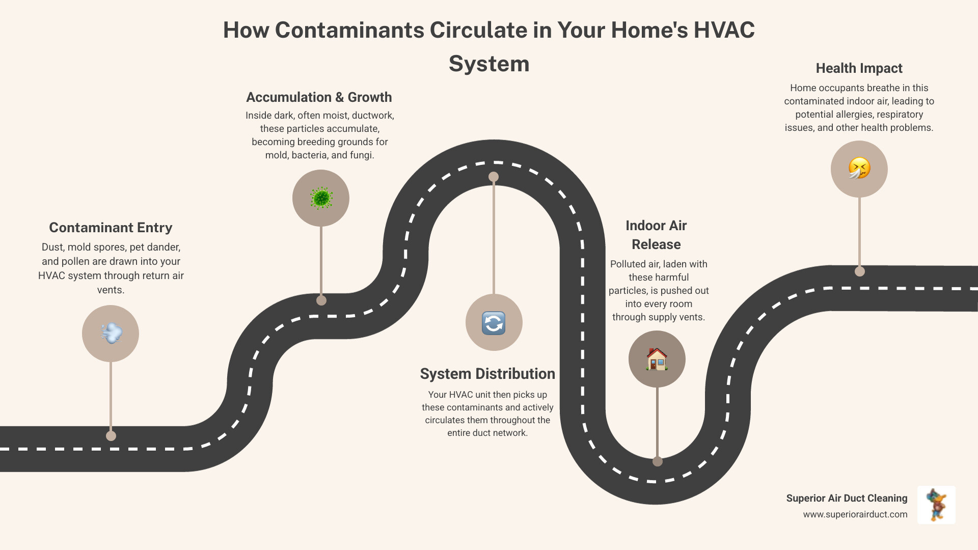 infographic showing how dust, mold, bacteria, pet dander, and pollen circulate through a home's HVAC ductwork system, entering through return vents and spreading to every room through supply vents - hvac disinfection boardman oh infographic roadmap-5-steps