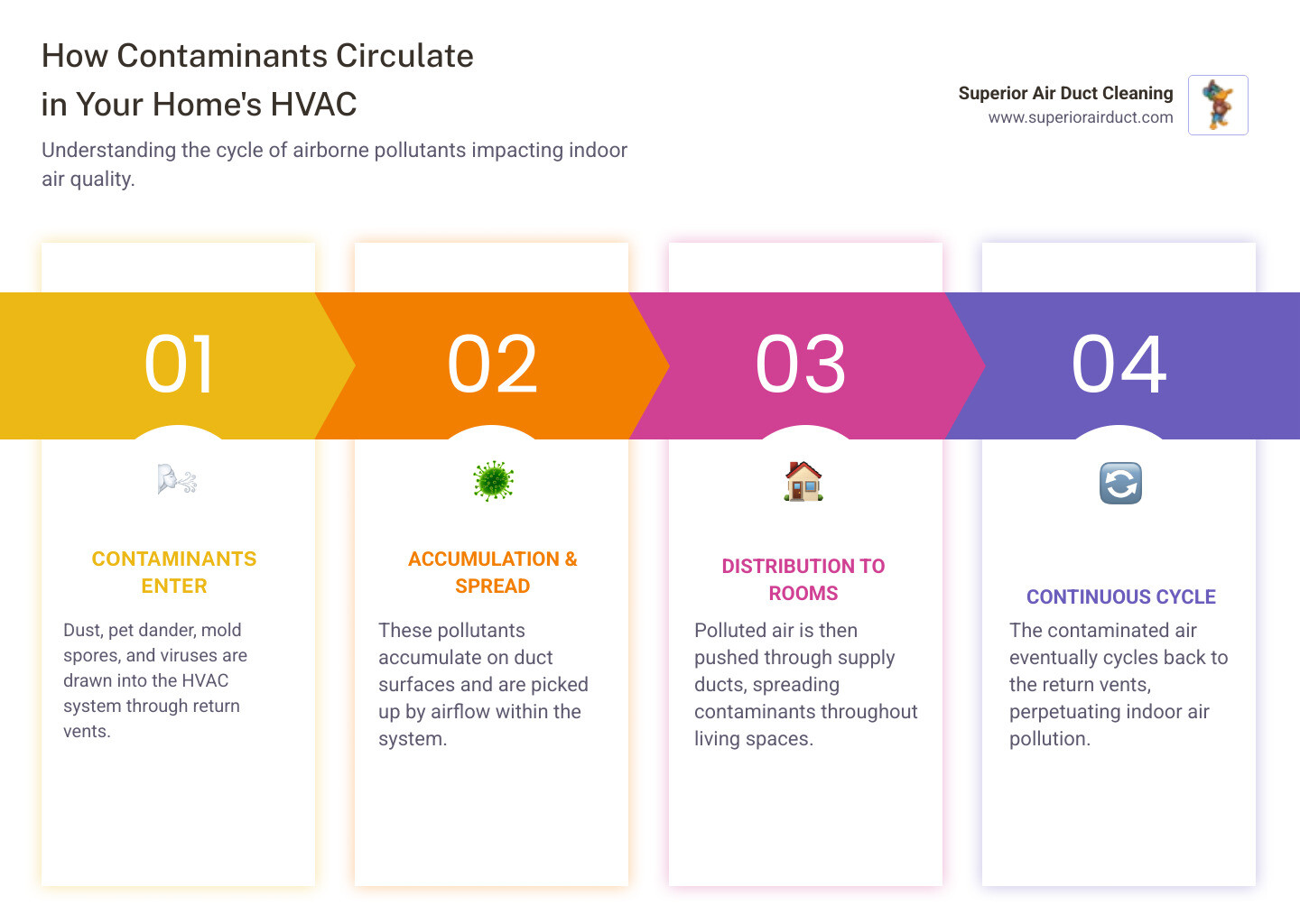 infographic showing how dust, allergens, mold spores, and bacteria circulate through a home's HVAC system from supply ducts through living spaces and back through return ducts, with callouts indicating where contaminants accumulate - air duct sanitization monaca pa infographic pillar-4-steps infographic showing how dust, allergens, mold spores, and bacteria circulate through a home's HVAC system from supply ducts through living spaces and back through return ducts, with callouts indicating where contaminants accumulate - air duct sanitization monaca pa infographic pillar-4-steps