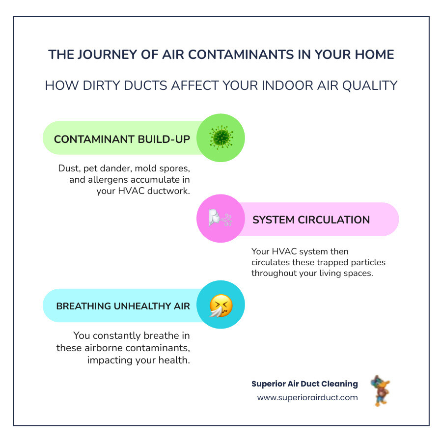 Infographic showing how dust, allergens, pet dander, and mold spores travel through an HVAC system from dirty ducts into living spaces, with arrows indicating air circulation patterns and buildup areas in ductwork - "Can you give me some options for duct cleaning services in Hancock County, WV?" infographic infographic-line-3-steps-colors