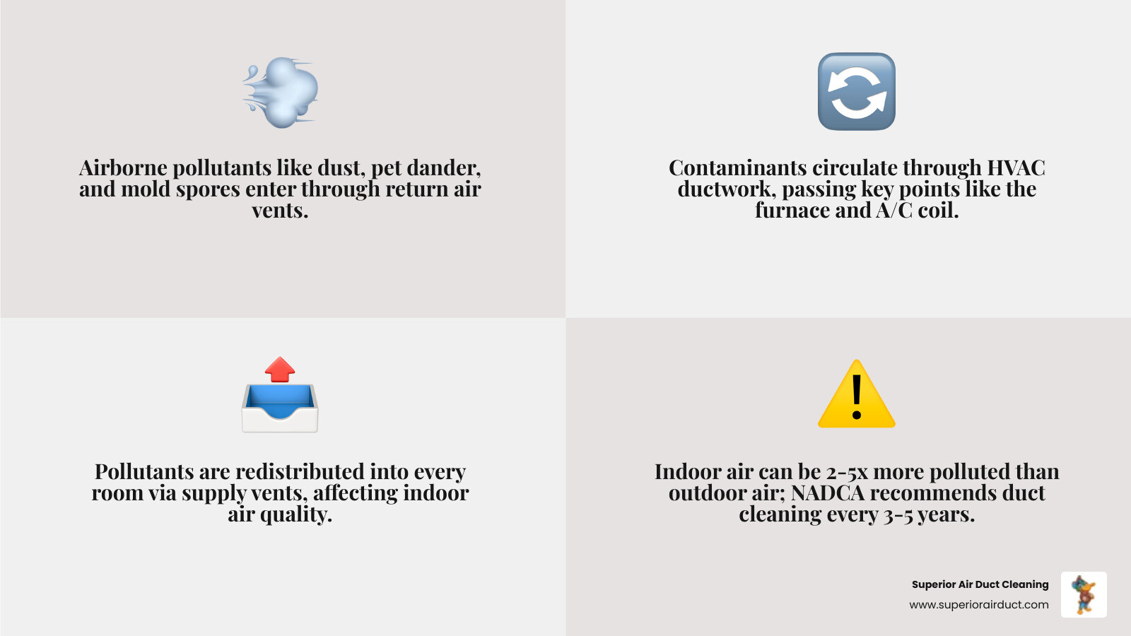 Infographic showing how airborne pollutants like dust, pet dander, mold spores, and allergens enter a home's return air vents, circulate through the HVAC ductwork system, and are redistributed through supply vents into every room, with callouts highlighting key contamination points including the furnace, A/C coil, and dryer vent, alongside NADCA's recommendation to clean every 3-5 years and warning that indoor air can be 2-5x more polluted than outdoor air - best duct cleaning services in boardman, oh infographic 4_facts_emoji_grey