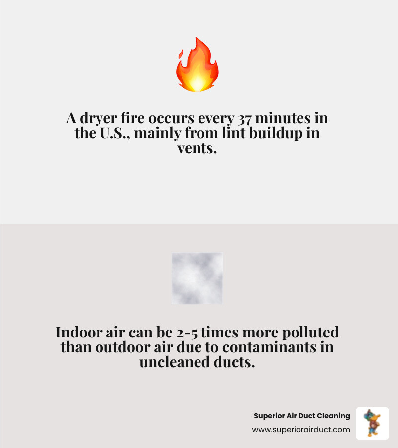 Infographic showing how lint and contaminants build up in dryer vents and air ducts over time, with fire risk and air Infographic showing how lint and contaminants build up in dryer vents and air ducts over time, with fire risk and air