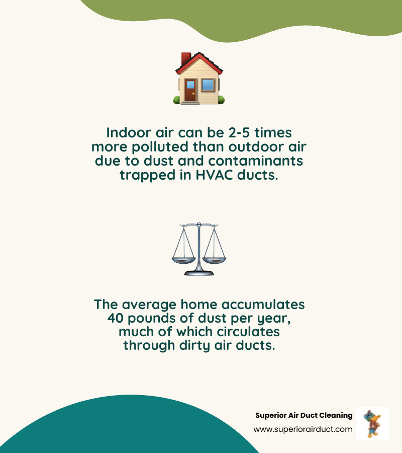 infographic showing how dirty air ducts circulate dust, allergens, and pollutants throughout a home - professional duct infographic showing how dirty air ducts circulate dust, allergens, and pollutants throughout a home - professional duct