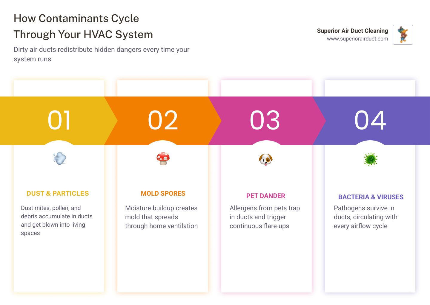 Infographic showing how contaminants cycle through a home HVAC system and affect indoor air quality - can dirty air ducts