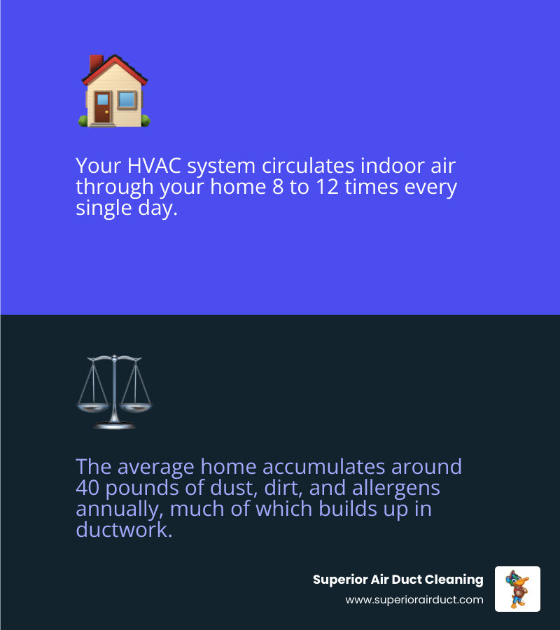 infographic showing home air circulation cycle, contaminants in ducts, and when cleaning is worth it - is air duct cleaning infographic showing home air circulation cycle, contaminants in ducts, and when cleaning is worth it - is air duct cleaning