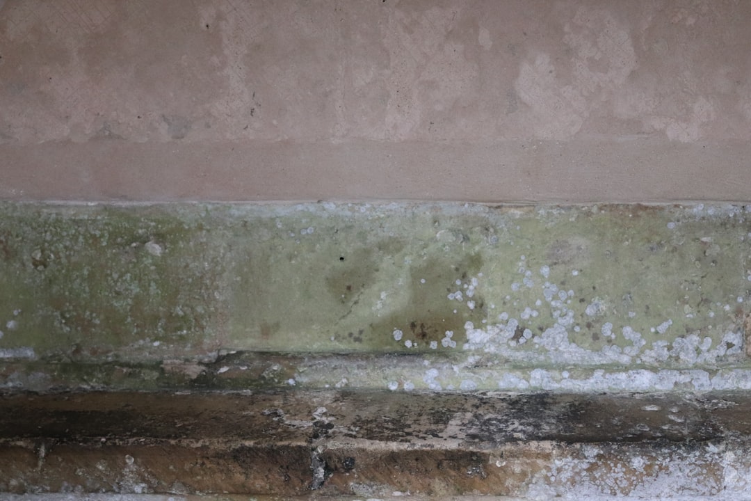 How Summer Humidity Affects Your Ductwork and How to Fight Back