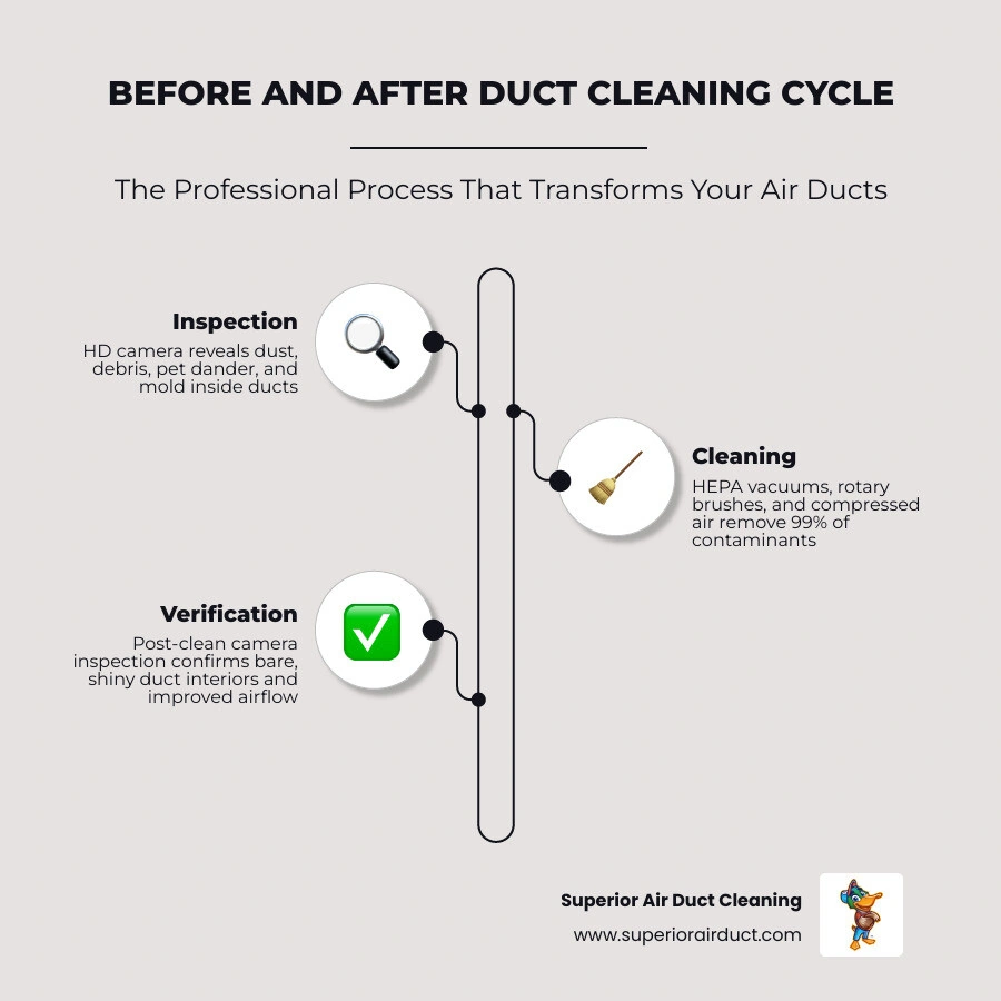 Before and after air duct cleaning cycle infographic showing contaminants removed and improvements gained - before and after Before and after air duct cleaning cycle infographic showing contaminants removed and improvements gained - before and after