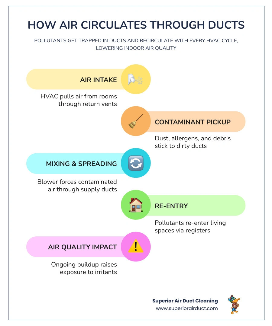Infographic showing how air circulates through ducts, picks up contaminants, and recirculates pollutants into living spaces Infographic showing how air circulates through ducts, picks up contaminants, and recirculates pollutants into living spaces