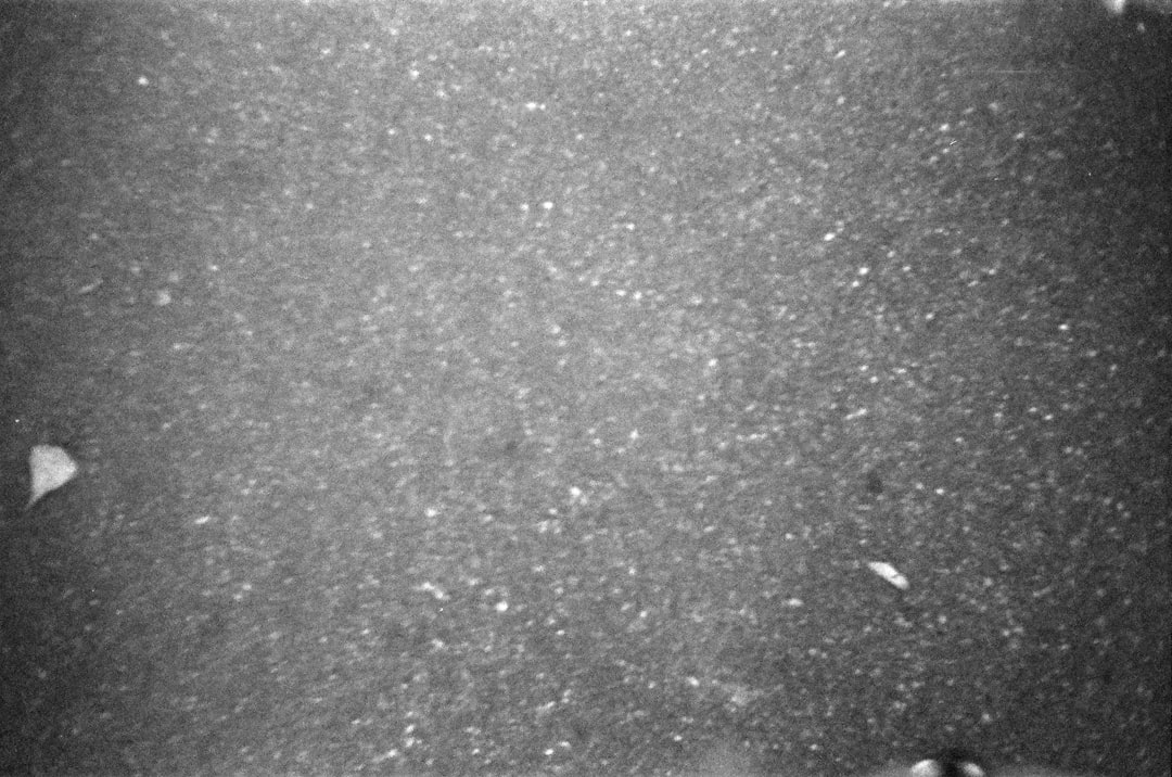 Microscopic view of dander particles mixed with dust and fabric fibers - how clean ducts reduce pet related allergies
