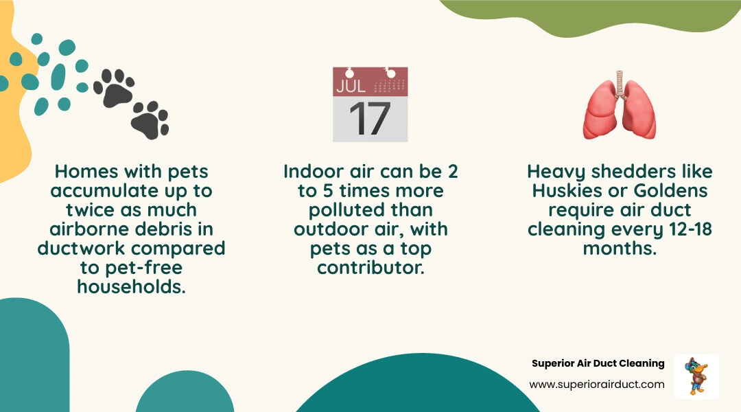 Infographic showing pet dander circulation frequency recommendations by number of pets and breed type infographic