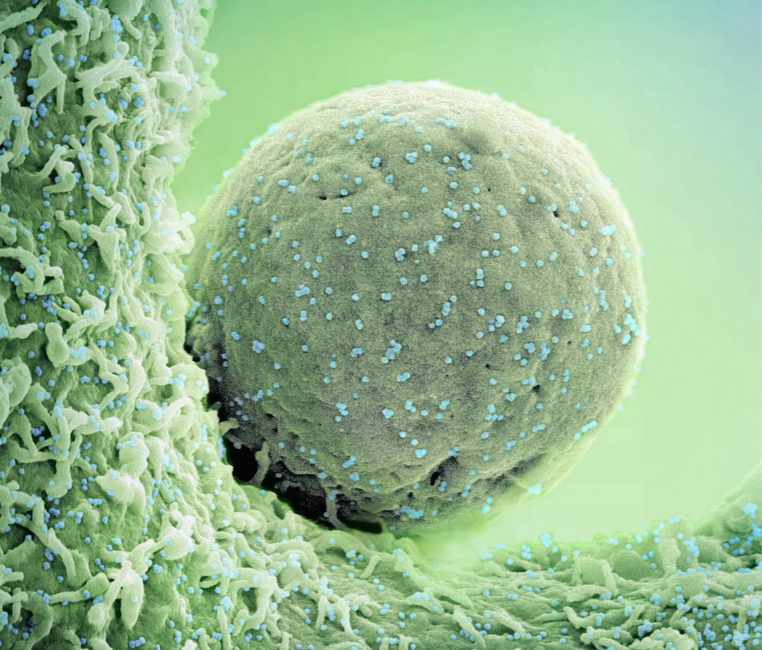 microscopic view of pet dander and dust particles - how pets affect duct cleaning frequency microscopic view of pet dander and dust particles - how pets affect duct cleaning frequency
