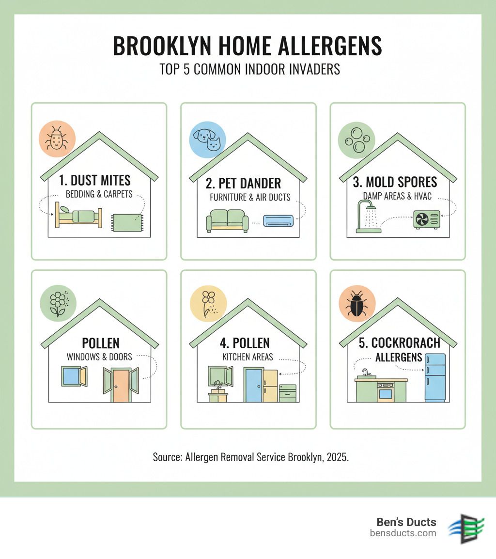 Comprehensive infographic showing the top 5 common indoor allergens found in Brooklyn homes: dust mites in bedding and carpets, pet dander on furniture and in air ducts, mold spores in damp areas and HVAC systems, pollen entering through windows and doors, and cockroach allergens in kitchen areas, with visual indicators of where each allergen commonly hides - allergen removal service brooklyn infographic 