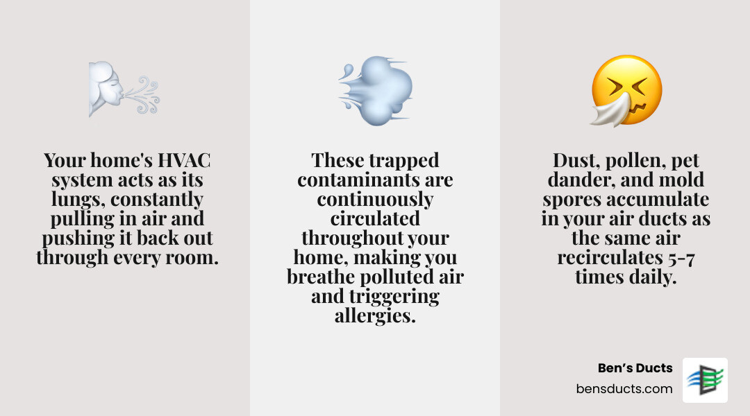 Infographic showing how dust, pollen, pet dander, and mold spores accumulate in residential air ducts and continuously circulate through the home's HVAC system, with arrows demonstrating the 5-7 times daily recirculation pattern and highlighting how trapped contaminants affect indoor air quality - allergy relief air duct cleaning avon infographic 3_facts_emoji_grey