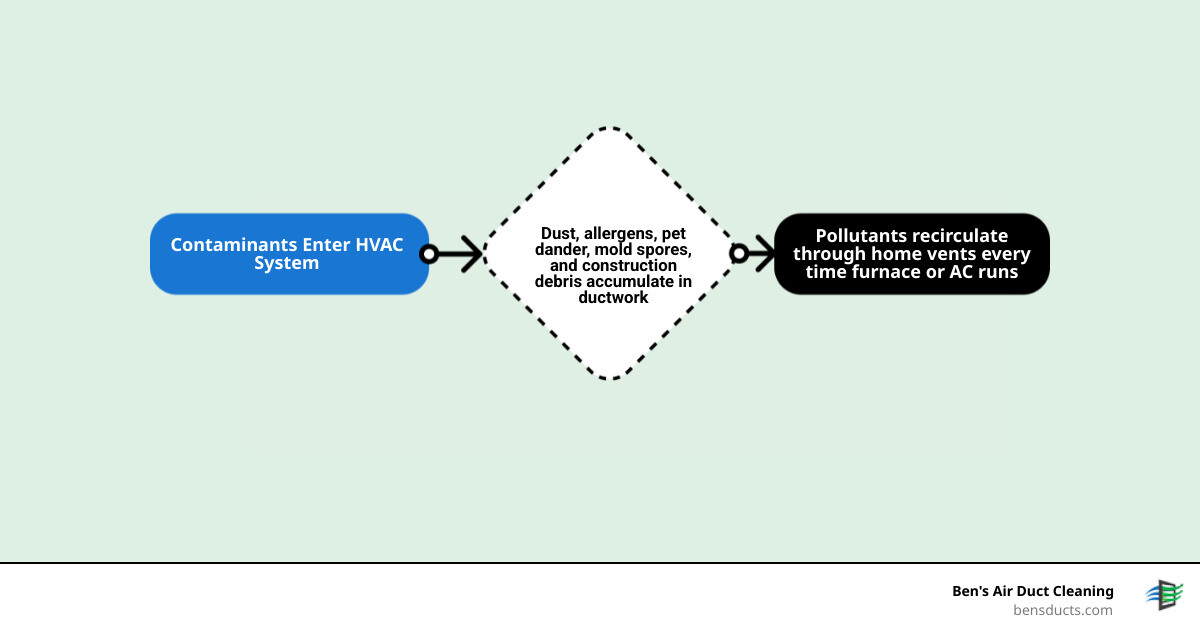 infographic showing how dust, allergens, pet dander, mold spores, and construction debris accumulate in HVAC ductwork and circulate throughout home air systems, with arrows indicating airflow patterns from vents through ducts to furnace and back - residential air duct cleaning avon lake oh infographic flowmap_simple