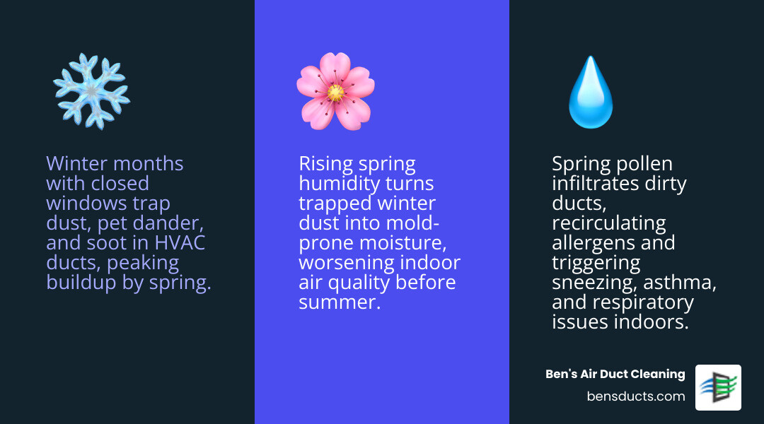 Infographic showing how winter dust and allergens accumulate in HVAC ducts and why spring cleaning removes them - why spring