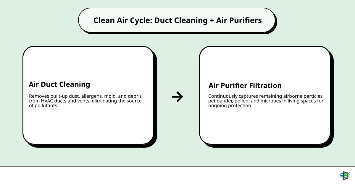 Infographic showing the cycle of source removal via duct cleaning and continuous airborne filtration via air purifier - air Infographic showing the cycle of source removal via duct cleaning and continuous airborne filtration via air purifier - air