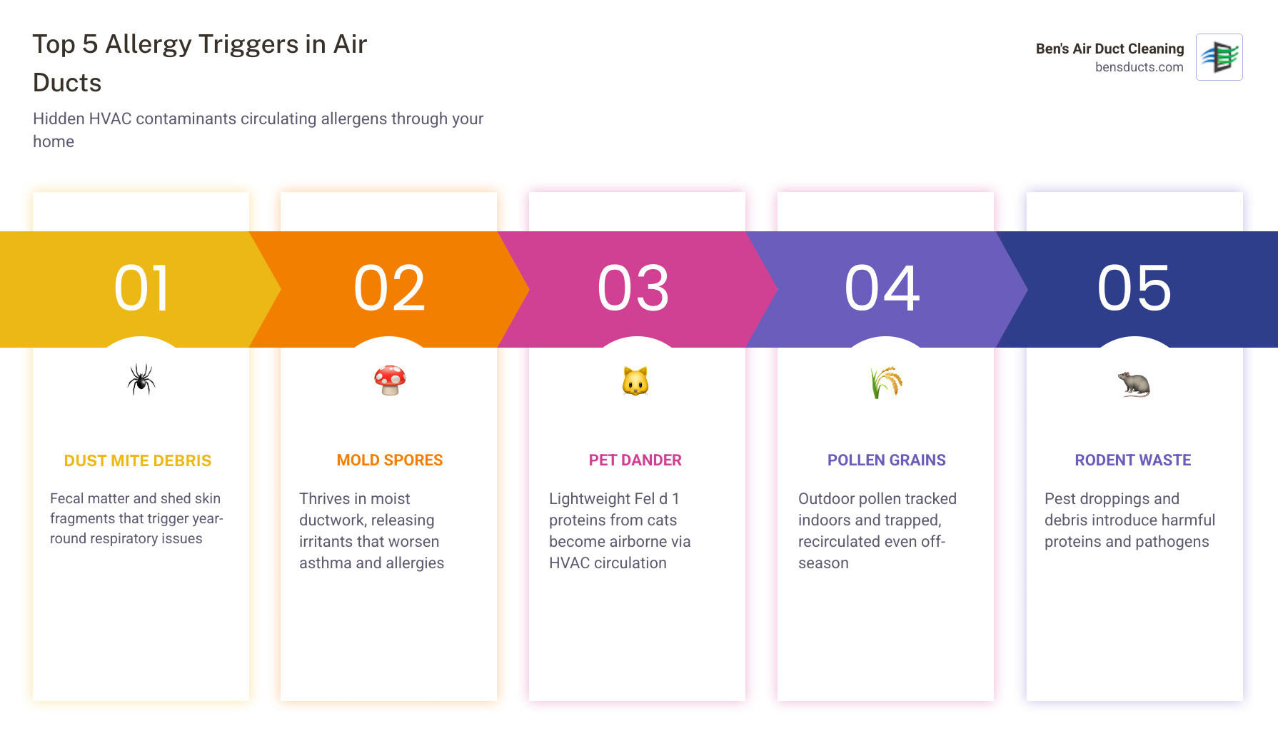 Infographic showing how HVAC systems collect and recirculate indoor allergens like dust mites, mold, pollen, and pet dander Infographic showing how HVAC systems collect and recirculate indoor allergens like dust mites, mold, pollen, and pet dander