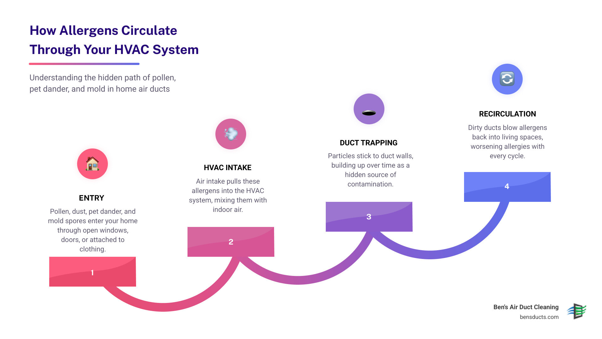 Infographic showing how allergens like pollen, pet dander, and mold travel through home HVAC ducts - duct cleaning vs air