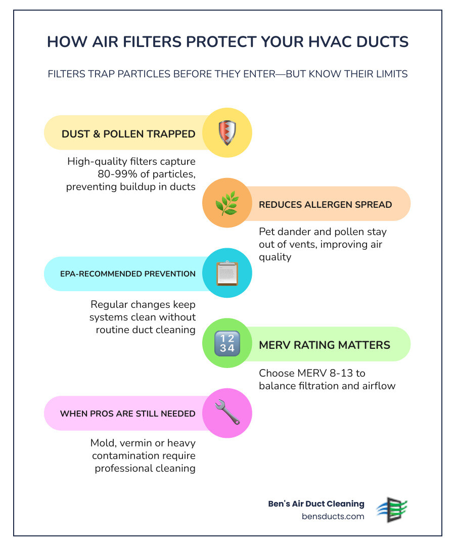 Infographic showing how air filters protect HVAC ducts and when professional duct cleaning is still needed - can good air