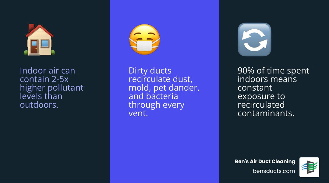 Infographic showing how contaminants like dust mold and dander circulate through home duct systems - how dirty air ducts Infographic showing how contaminants like dust mold and dander circulate through home duct systems - how dirty air ducts